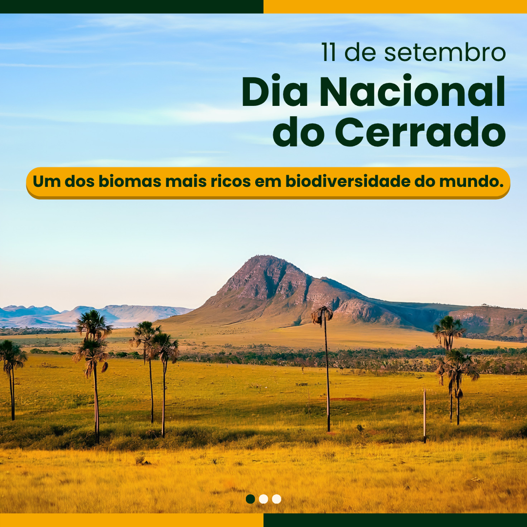 Dia do Cerrado: preservar hoje para construir o futuro